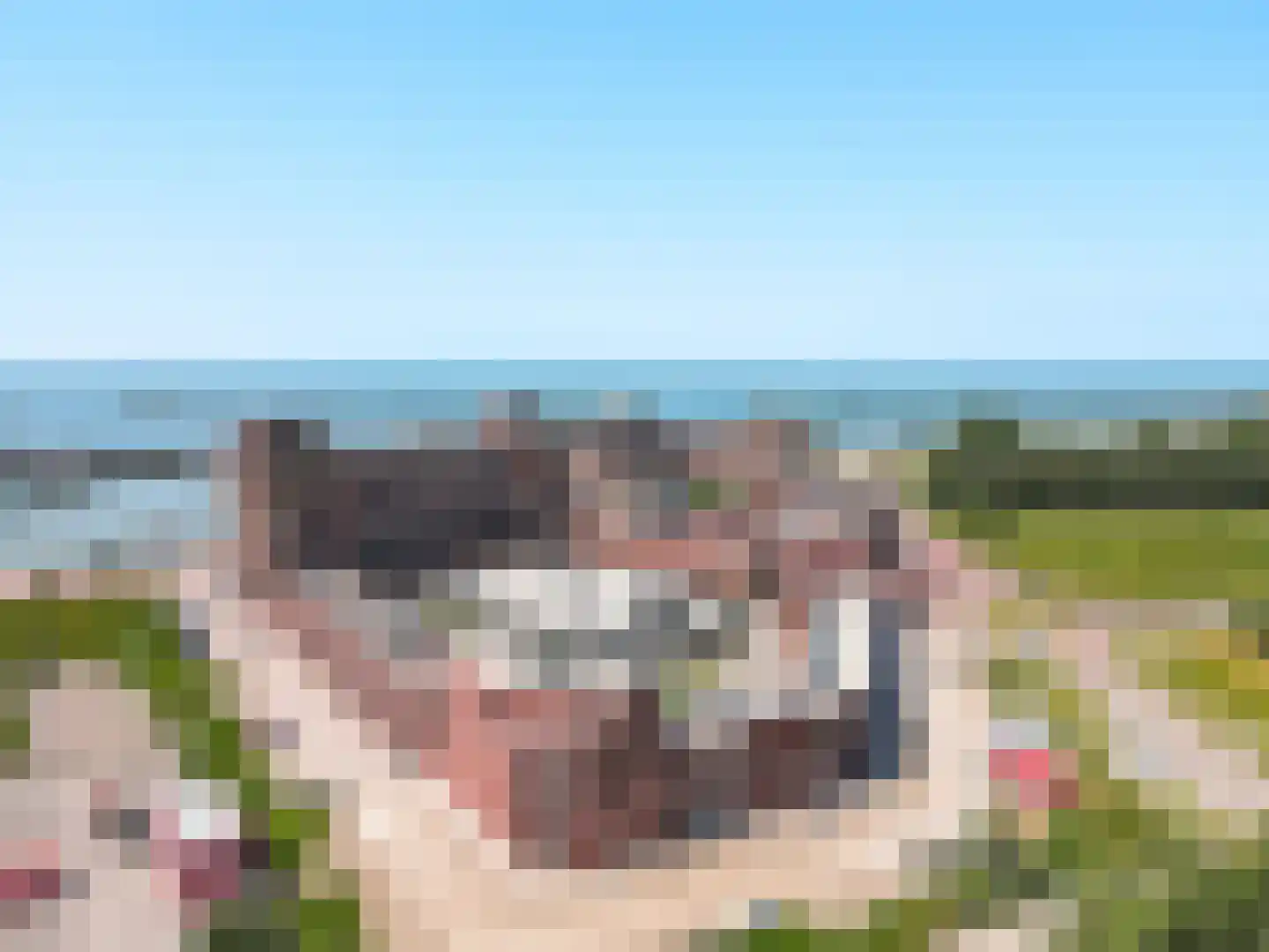 Reygersbeek 325 Lelystad thumbnail 48