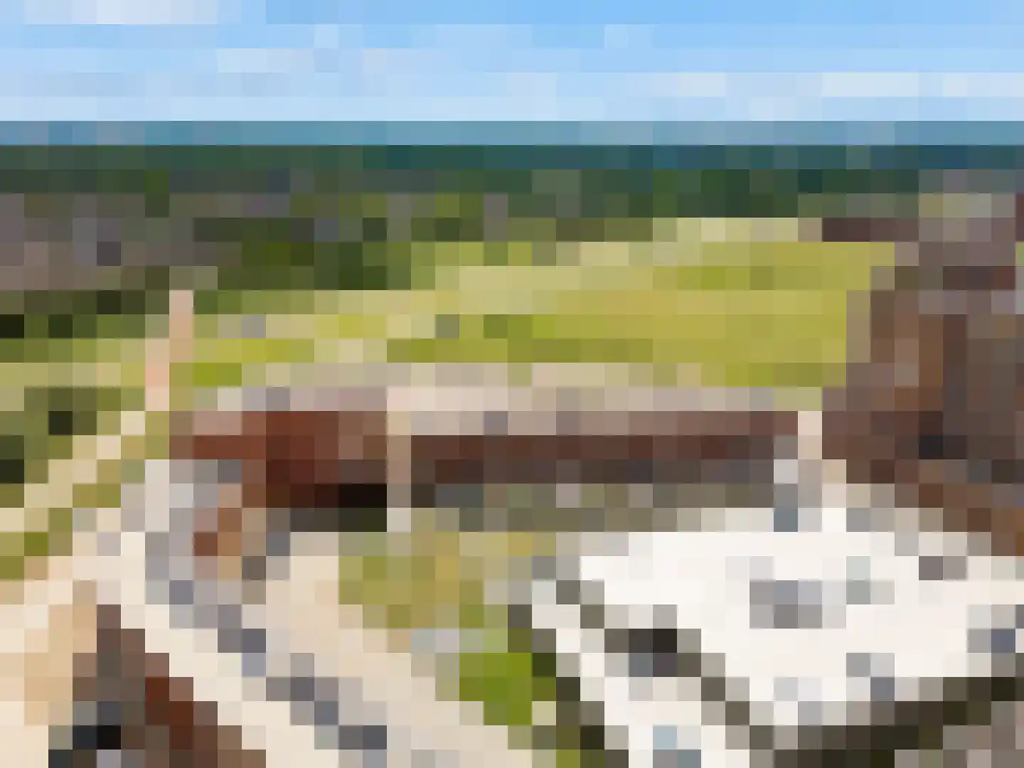 Reygersbeek 347 Lelystad thumbnail 35