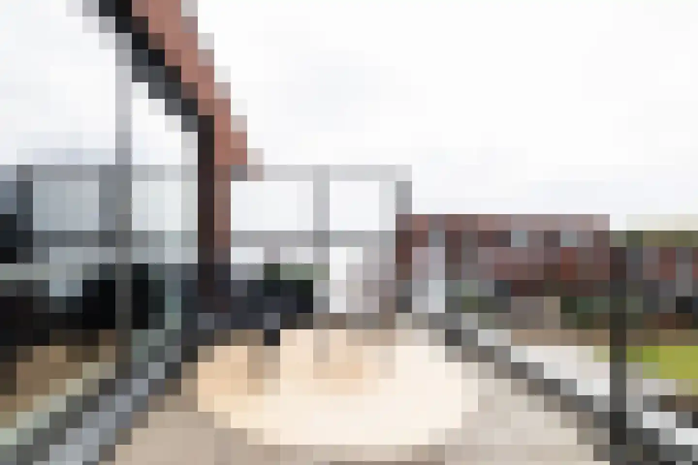 Reygersbeek 8 Lelystad thumbnail 30