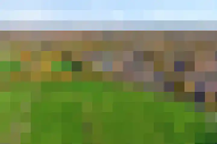 Reygershöftehoek 114 Enschede thumbnail 6