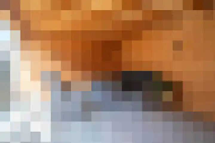 Reygershöftehoek 133 Enschede thumbnail 33