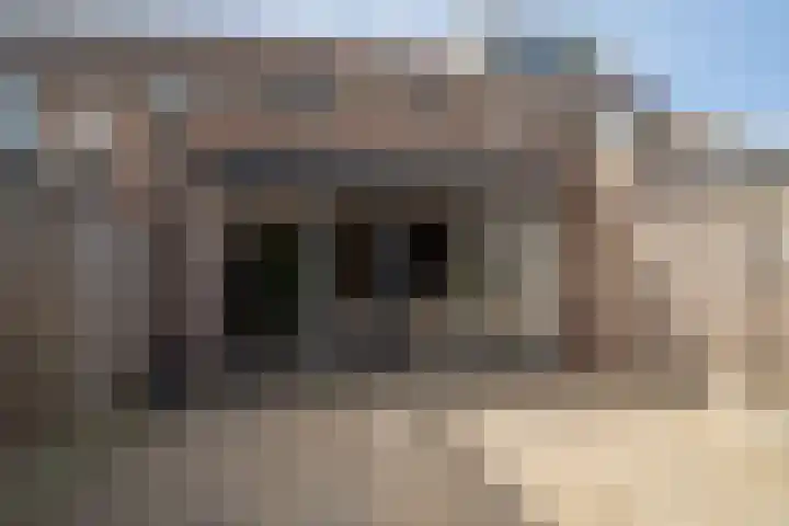 Reygershöftehoek 133 Enschede thumbnail 35
