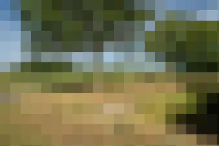 Reygershöftehoek 133 Enschede thumbnail 37