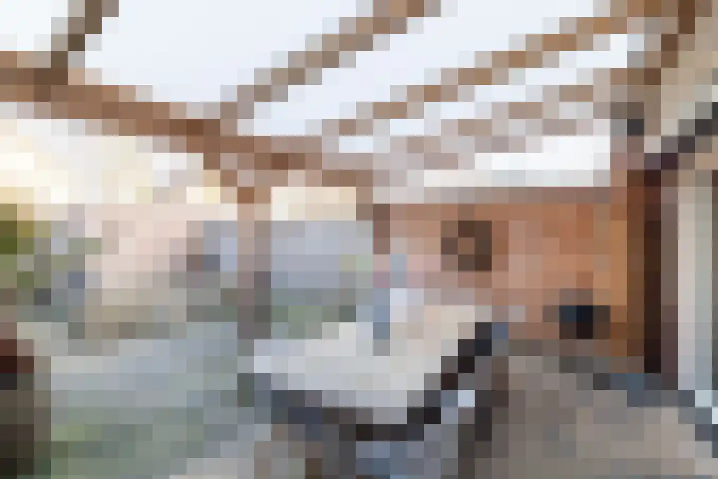 Reygershöftehoek 141 Enschede thumbnail 23