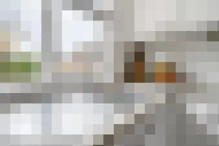 Reygershöftehoek 145 Enschede thumbnail 18
