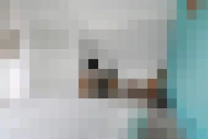 Reygershöftehoek 145 Enschede thumbnail 37