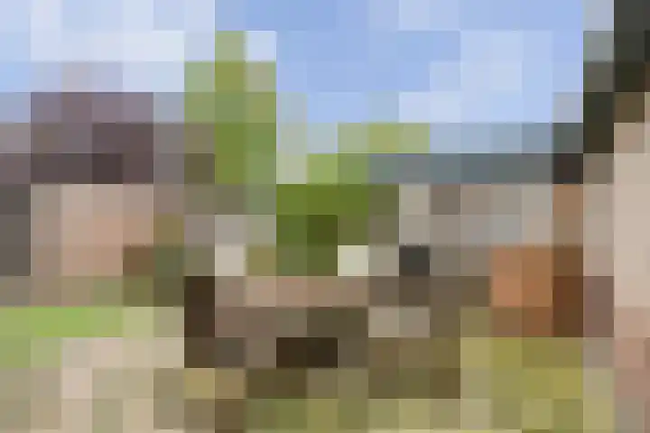 Reygershöftehoek 145 Enschede thumbnail 40
