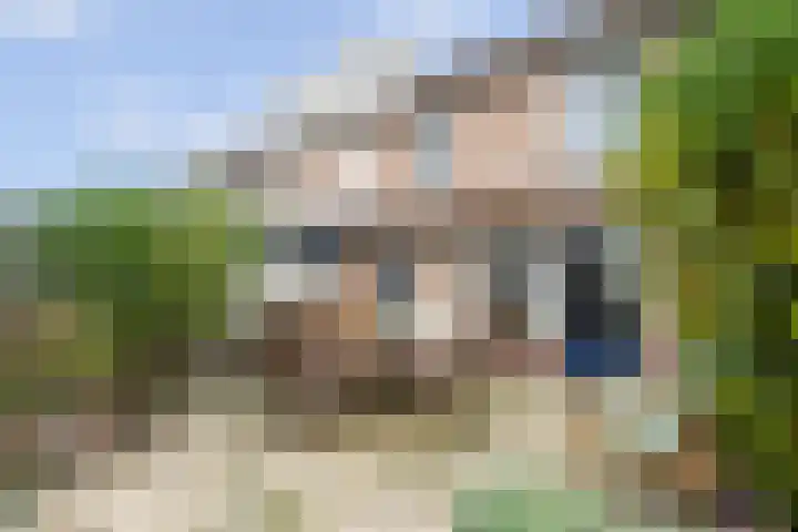 Reygershöftehoek 145 Enschede thumbnail 42