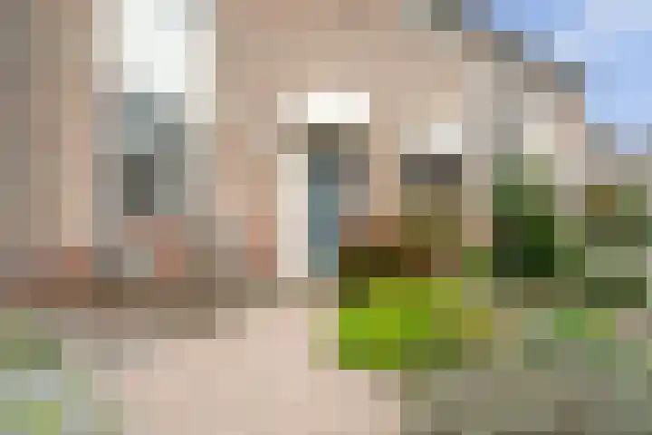 Reygershöftehoek 145 Enschede thumbnail 5