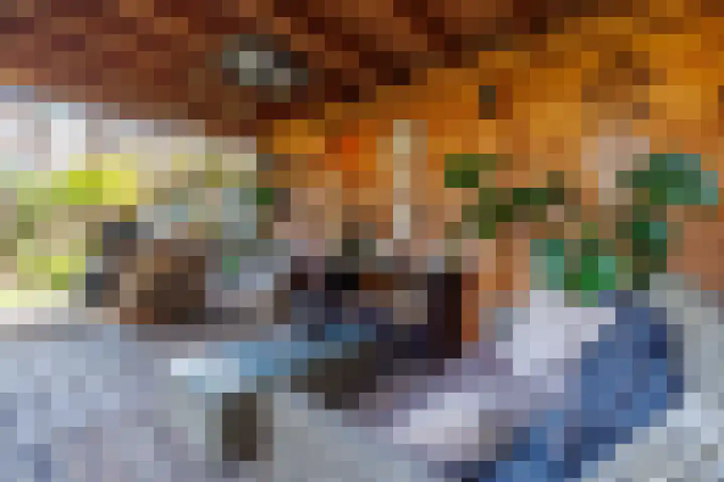 Reygershöftehoek 62 Enschede thumbnail 31