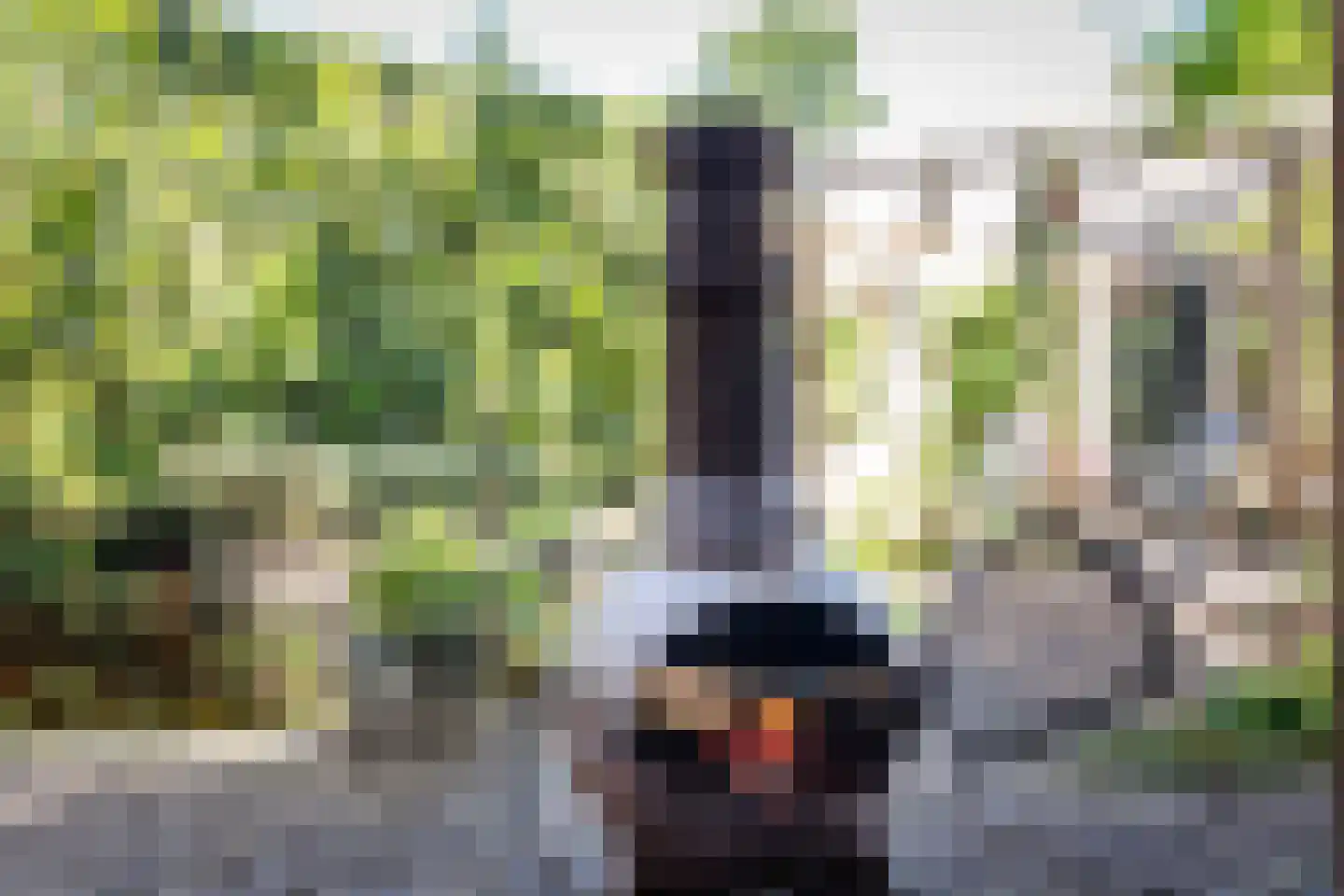Reygershöftehoek 62 Enschede thumbnail 33