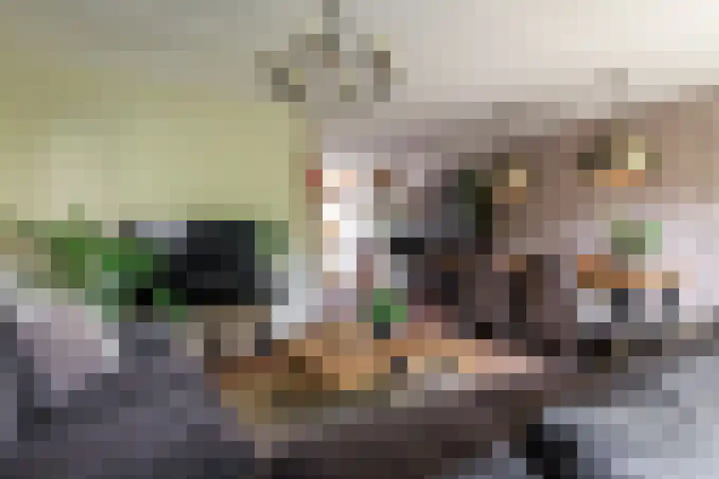 Reygershöftehoek 62 Enschede thumbnail 7