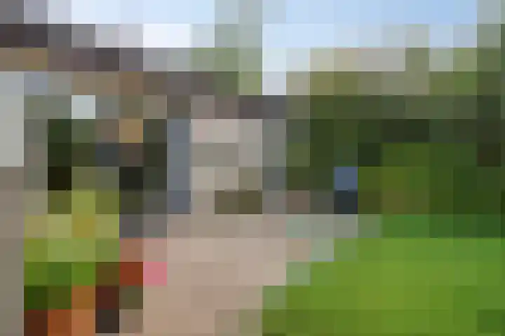 Reygerskreek 3 Hengstdijk thumbnail 21
