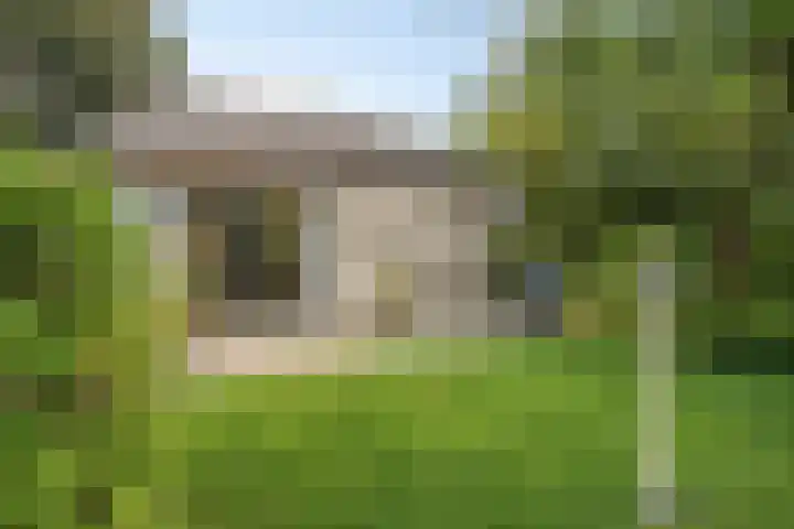 Reygerskreek 3 Hengstdijk thumbnail 22
