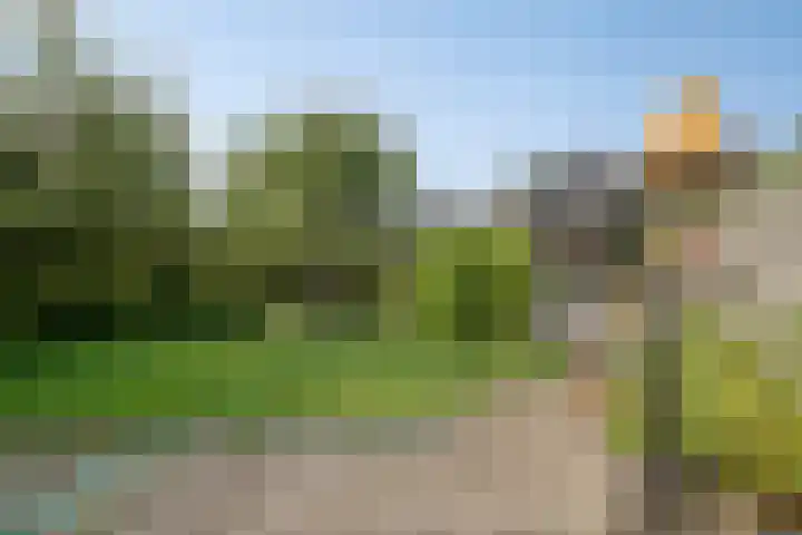 Reygerskreek 3 Hengstdijk thumbnail 4