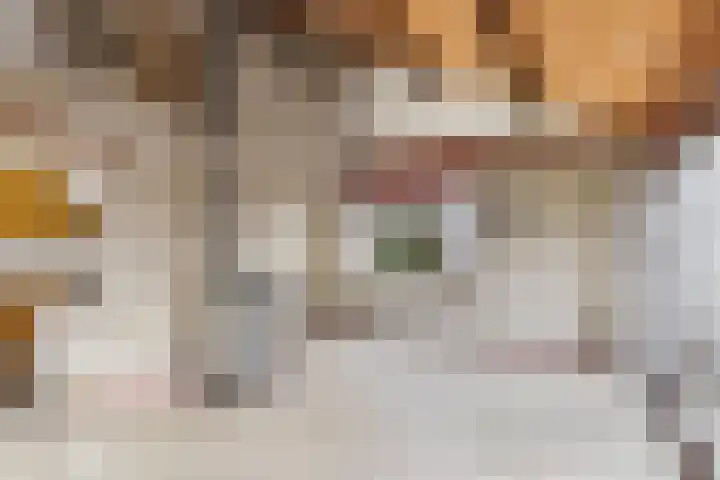 Reygerskreek 30 Hengstdijk thumbnail 13