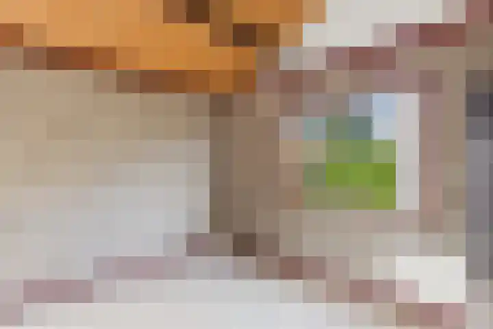Reygerskreek 30 Hengstdijk thumbnail 18