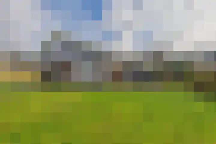 Reygerskreek 30 Hengstdijk thumbnail 37