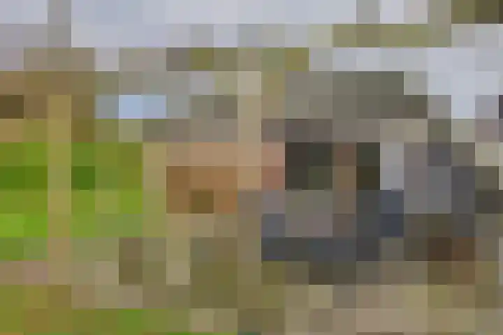 Reygerskreek 30 Hengstdijk thumbnail 38