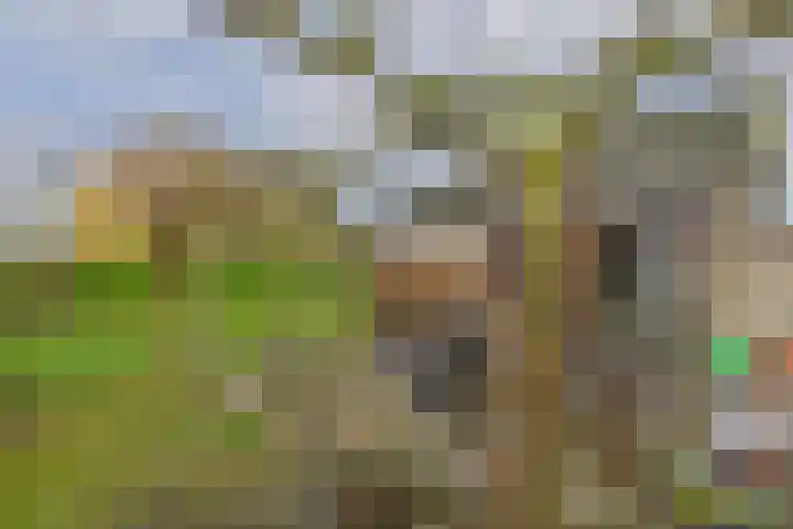 Reygerskreek 30 Hengstdijk thumbnail 39