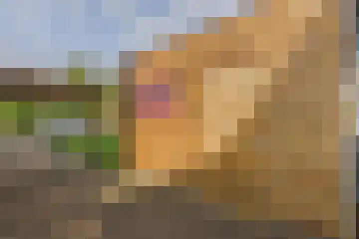 Reygerskreek 30 Hengstdijk thumbnail 40
