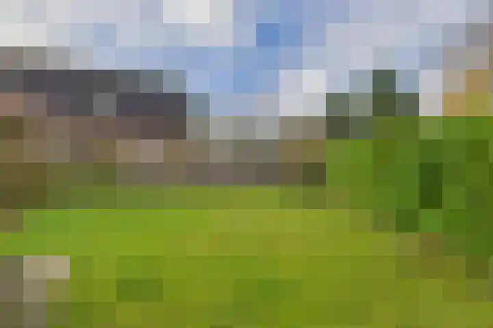Reygerskreek 30 Hengstdijk thumbnail 41