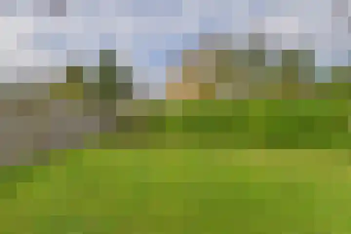 Reygerskreek 30 Hengstdijk thumbnail 42