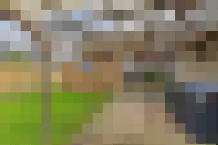 Reygerskreek 30 Hengstdijk thumbnail 8