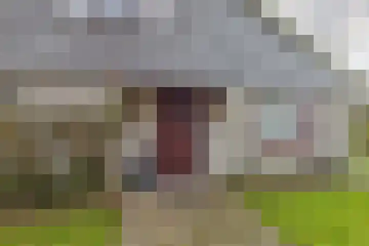 Reygerskreek 30 Hengstdijk thumbnail 9