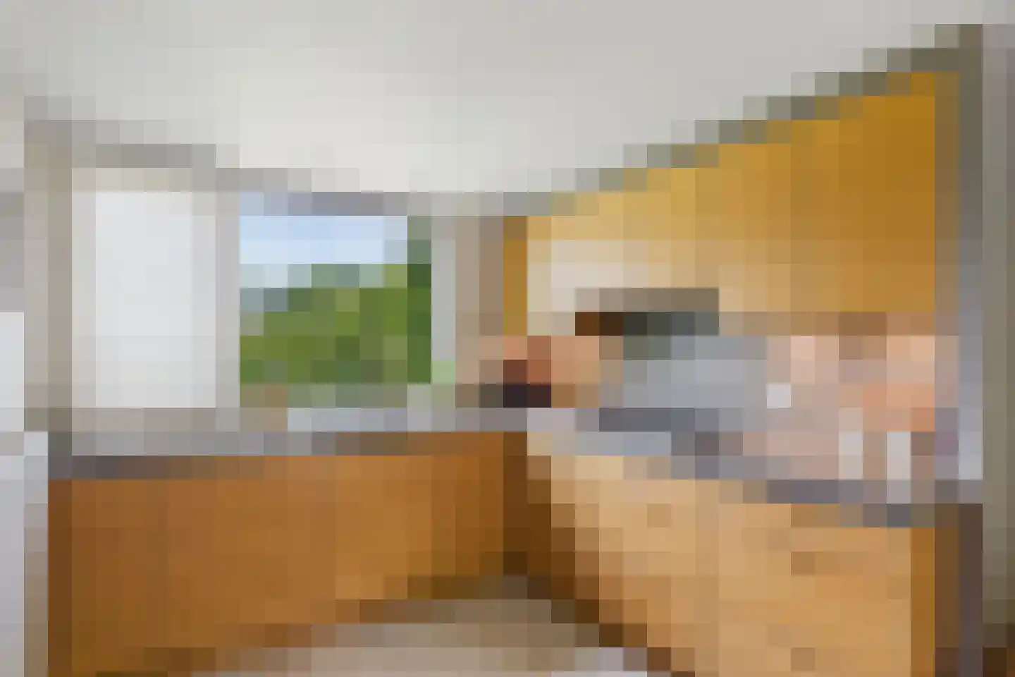 Reygerskreek 32 Hengstdijk thumbnail 17