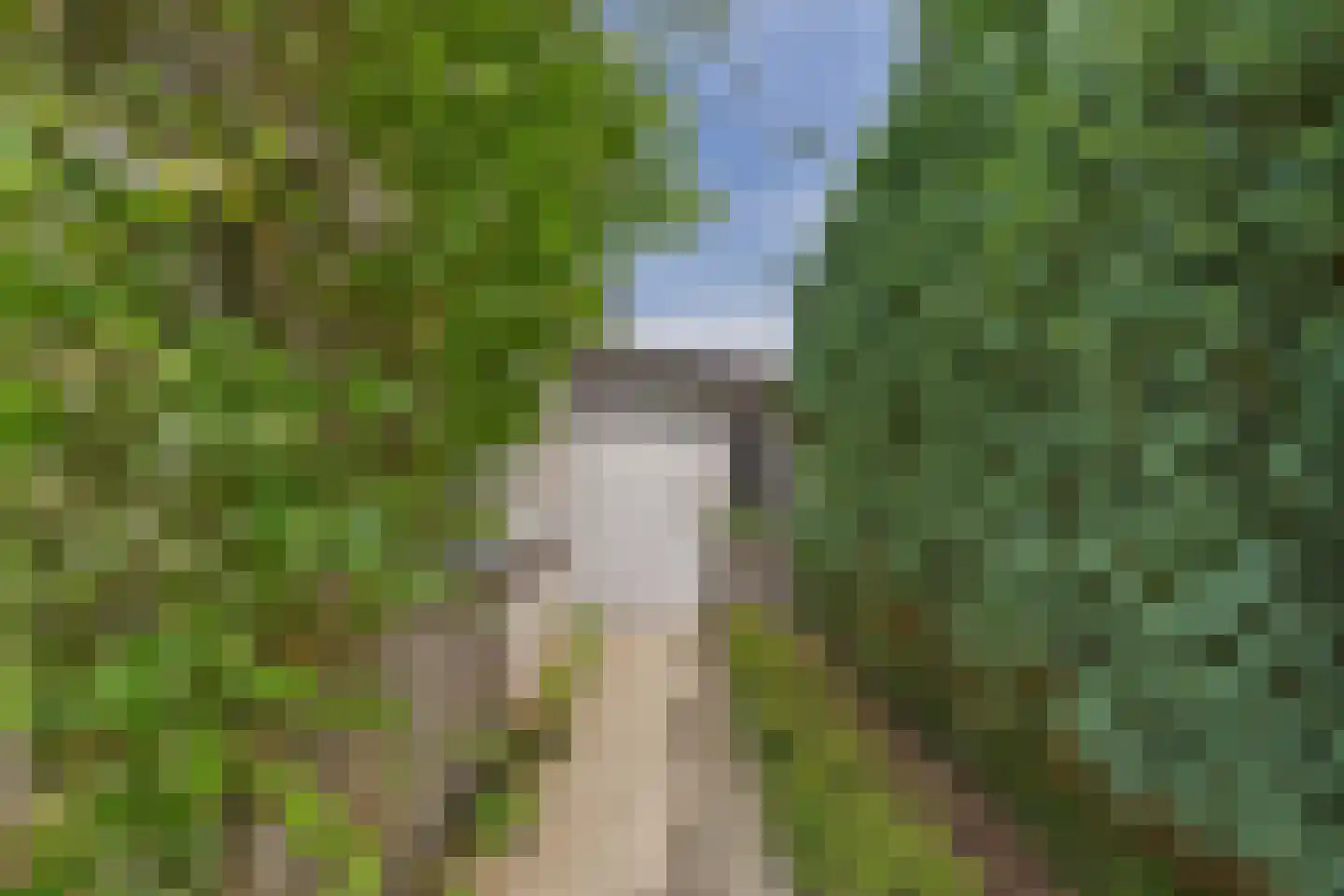 Reygerskreek 32 Hengstdijk thumbnail 39