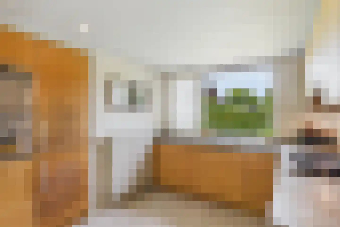 Reygerskreek 32 Hengstdijk thumbnail 4