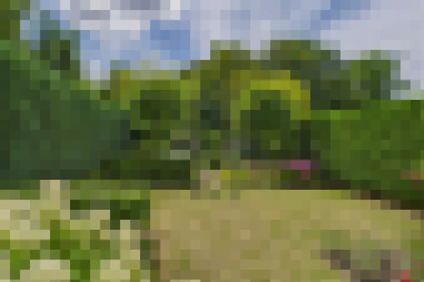 Reygerskreek 32 Hengstdijk thumbnail 5