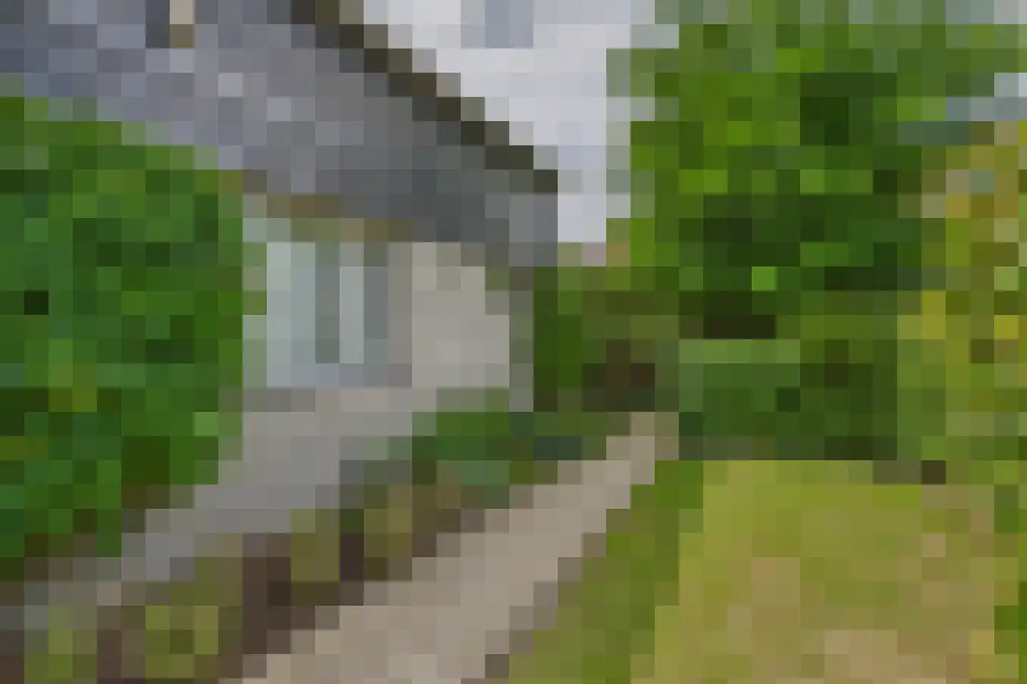 Reygerskreek 32 Hengstdijk thumbnail 7