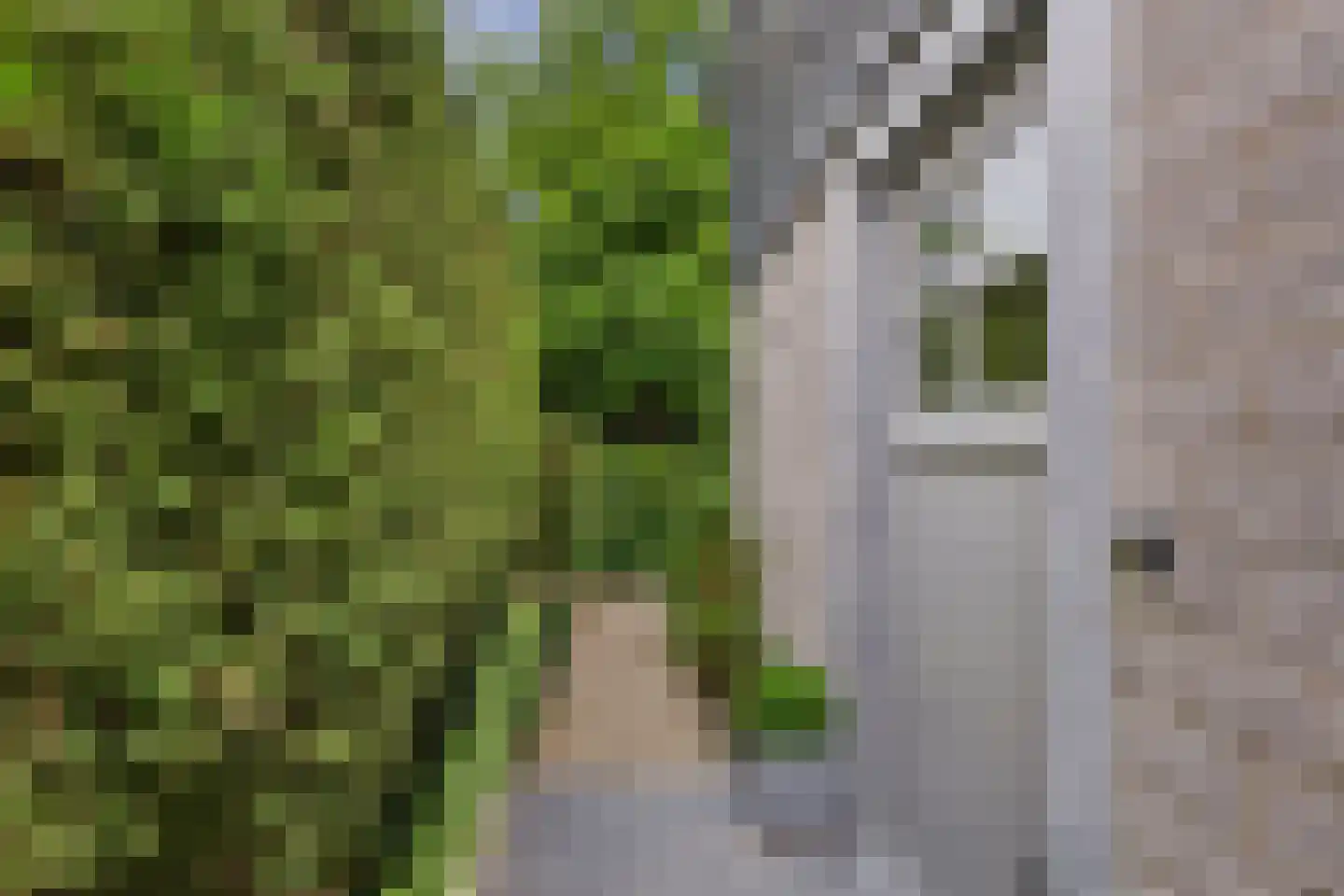 Reygerskreek 32 Hengstdijk thumbnail 8