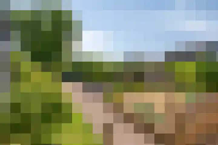 Reygerskreek 51 Hengstdijk thumbnail 23
