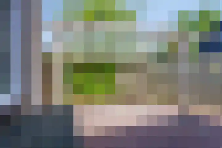 Reygerskreek 51 Hengstdijk thumbnail 33
