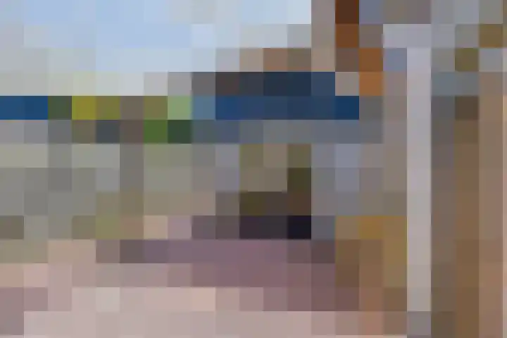 Reygerskreek 51 Hengstdijk thumbnail 34