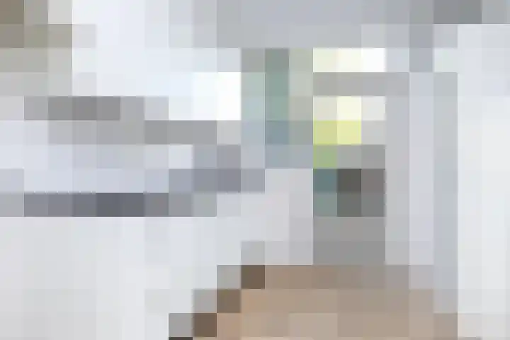 Reynout van Gelrelaan 2 Laag-Soeren thumbnail 14