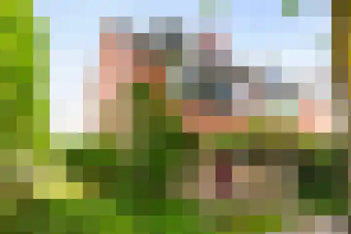 Reynout van Gelrelaan 2 Laag-Soeren thumbnail 16