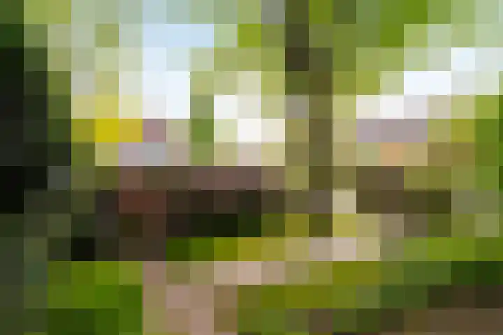 Reynout van Gelrelaan 2 Laag-Soeren thumbnail 18