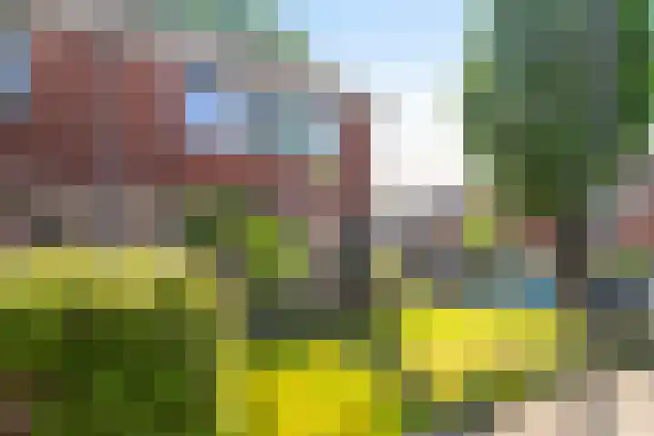 Reynout van Gelrelaan 2 Laag-Soeren thumbnail 6