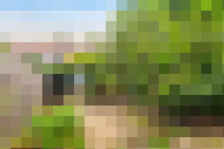 Reynout van Gelrelaan 6 Laag-Soeren thumbnail 17