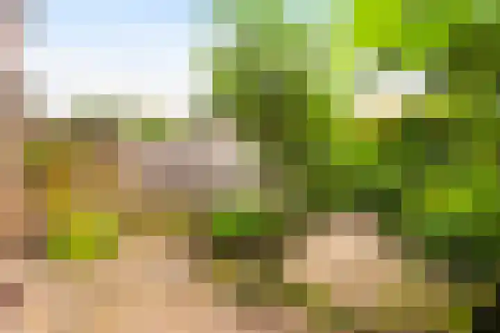 Reynout van Gelrelaan 6 Laag-Soeren thumbnail 18