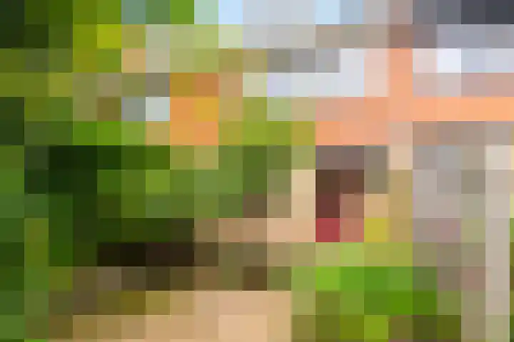 Reynout van Gelrelaan 6 Laag-Soeren thumbnail 4