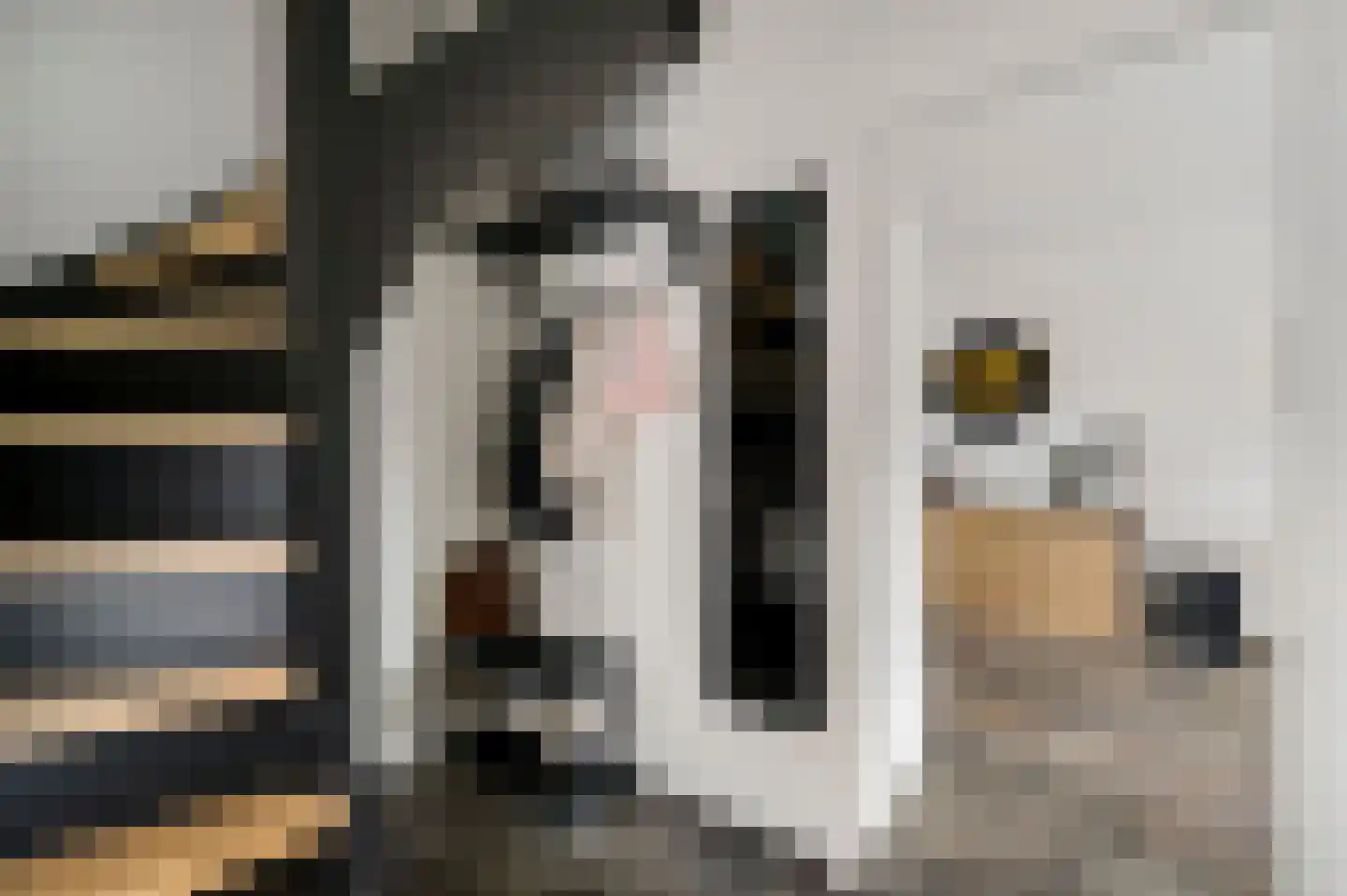 Reysenbeckstraat 7 Hegelsom thumbnail 12