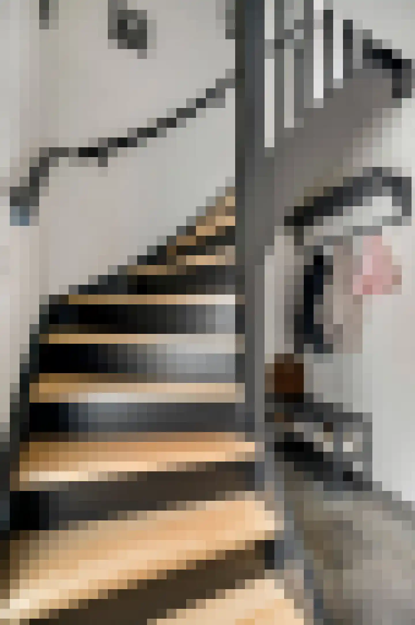 Reysenbeckstraat 7 Hegelsom thumbnail 13