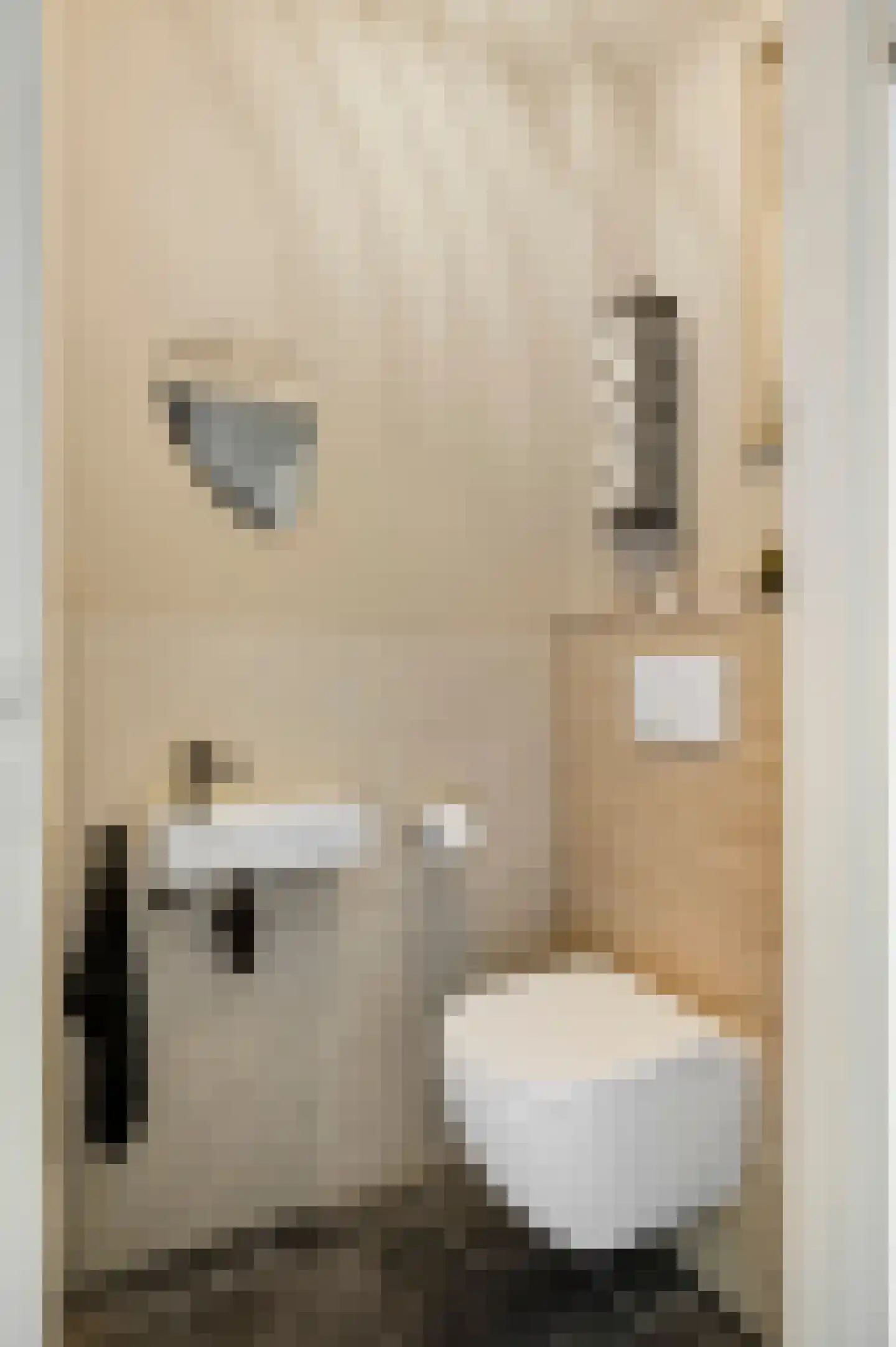 Reysenbeckstraat 7 Hegelsom thumbnail 15