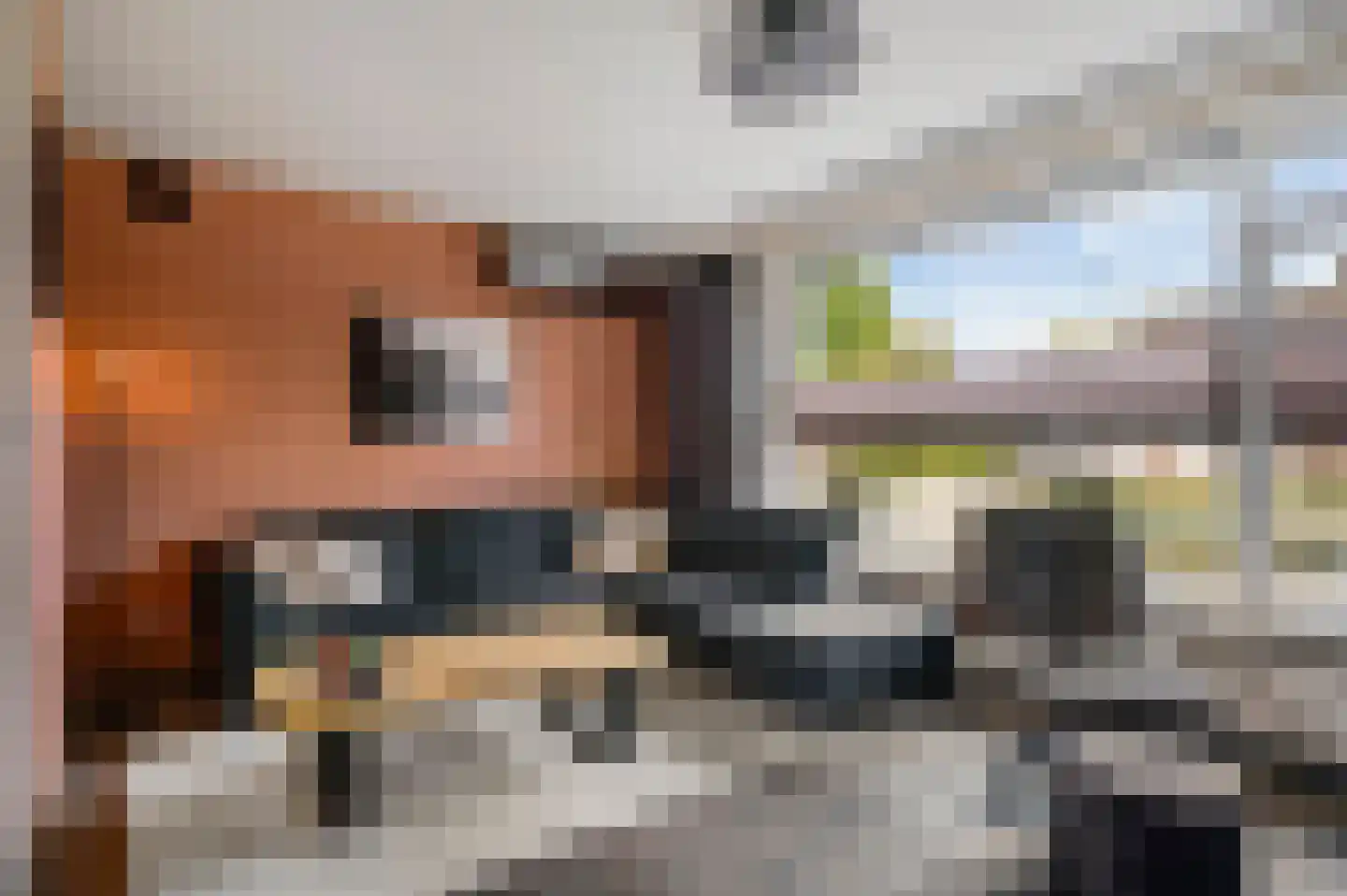 Reysenbeckstraat 7 Hegelsom thumbnail 17