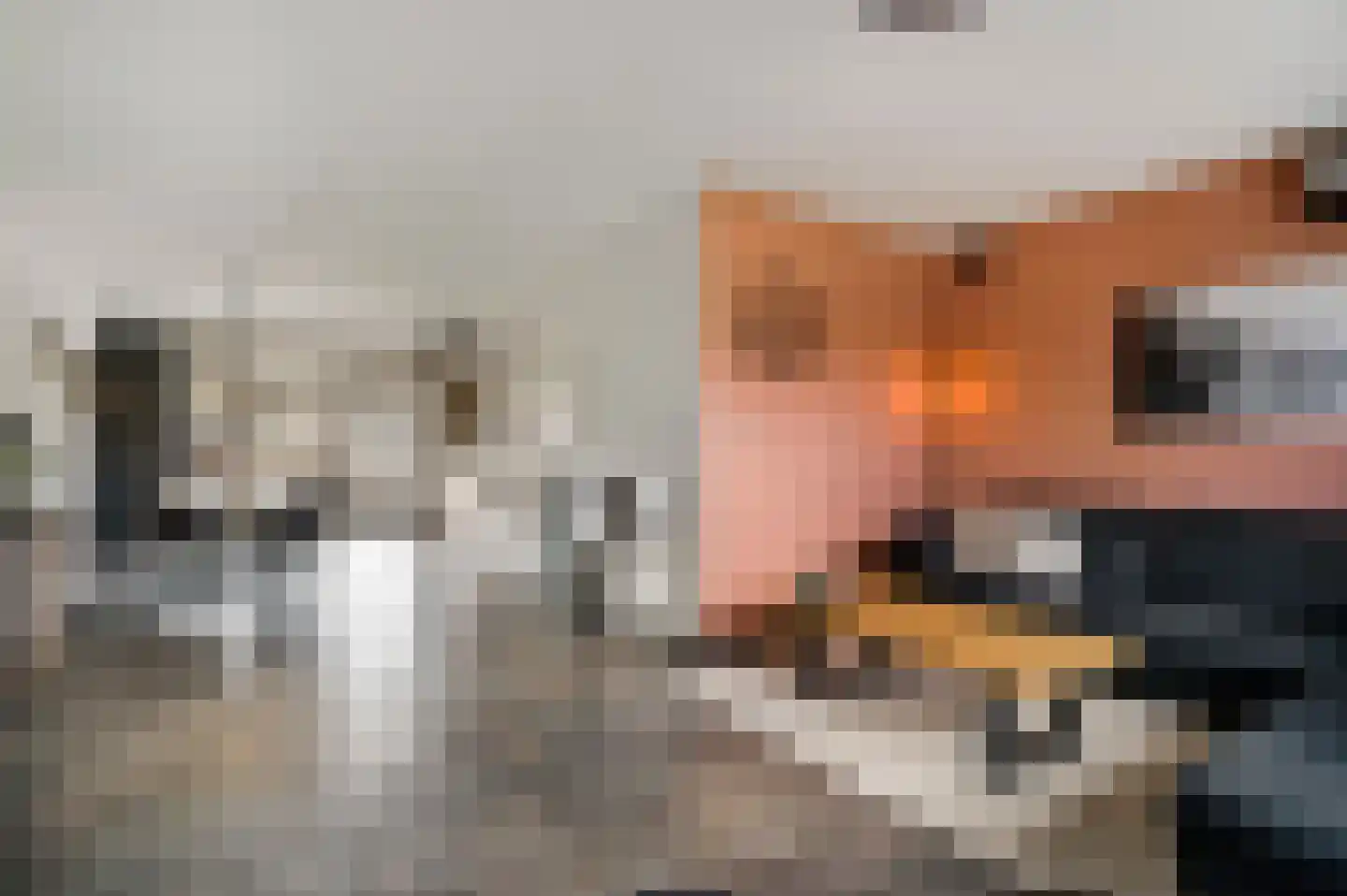 Reysenbeckstraat 7 Hegelsom thumbnail 18